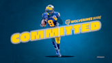 Michigan football secures commitment from LB in SEC country