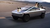 Comment deux chiens ont grugé le Mode Chien d’une Tesla pour s’enfuir