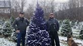 Purple Christmas trees? It's a thing in Naples wine country