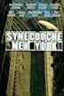 Synecdoche, New York