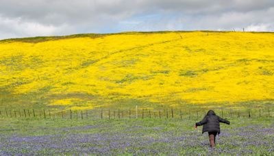 Get free admission to National Parks by volunteering on Public Lands Day