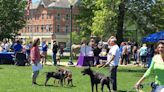 Pet Fest returns to Glens Falls on May 19