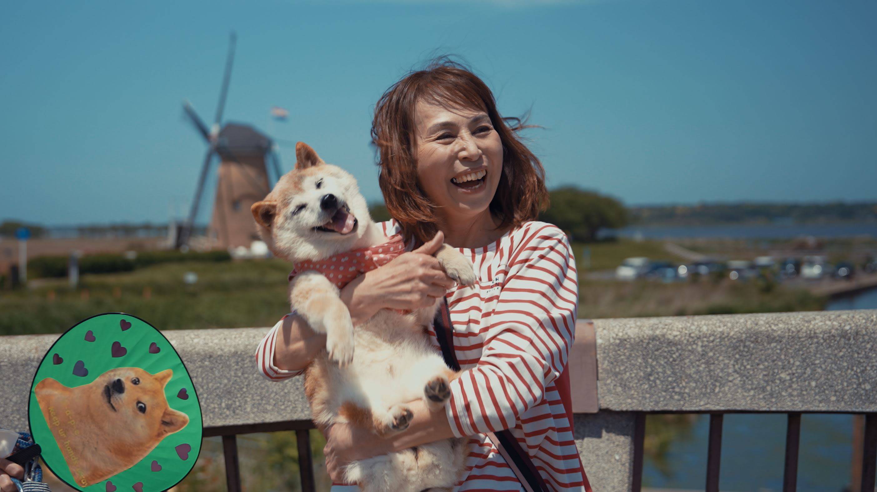 Dogecoin Meme Dog Kabosu To Be Subject Of Documentary From ‘Queer Eye’ Producer Scout