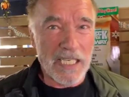 Aposentada perde valor altíssimo com falso perfil de Arnold Schwarzenegger