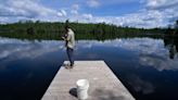 Invasive fish species dumped in Manitoba water bodies disrupting 'very delicate' ecosystems: fisheries manager | CBC News