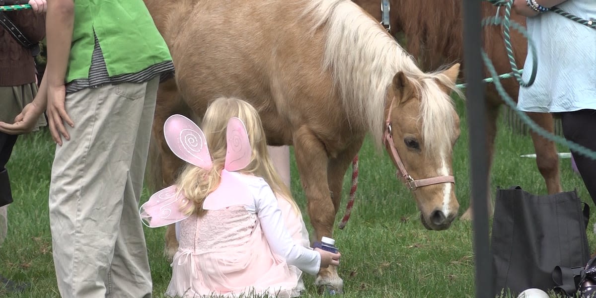 Rockton May Day Faerie Festival arrives in Settlers Park