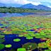 Wular Lake