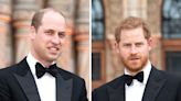 Prince Harry Says Princess Diana Would Be ‘Heartbroken’ That His Relationship With Prince William Has ‘Ended Up Where It...