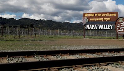 Large California wine producer files for bankruptcy, to sell assets