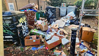 Exhibition highlights 'horrible' rubbish problem