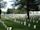 New Albany National Cemetery