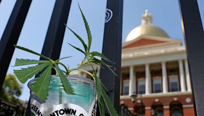 $187,000 marijuana top job opens up to nationwide search in Massachusetts