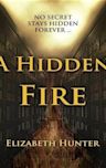 A Hidden Fire (Elemental Mysteries, #1)