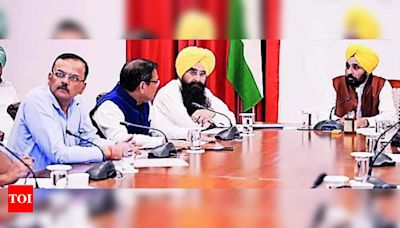 Punjab CM Bhagwant Mann Leads Meeting to Combat Farm Fires and Promote Paddy Straw Management | Chandigarh News - Times of India