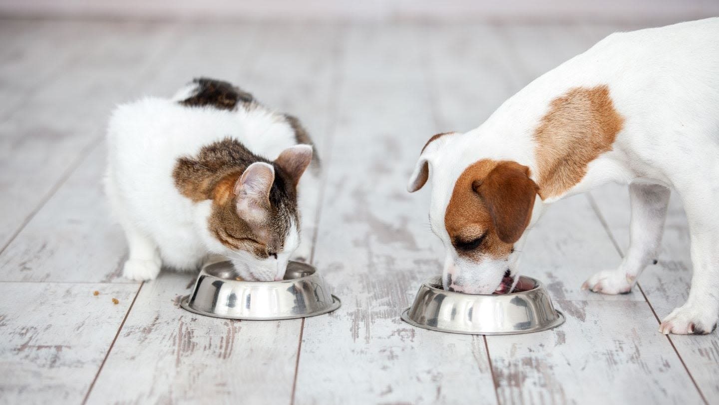 Partner in Pet Food’s private-equity ownership changes hands