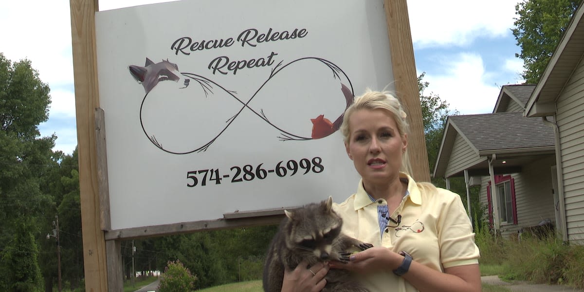 Rescue Release Repeat giving animals a second chance at life