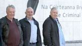 Three men launch appeal against convictions over Strokestown 'mob' attack - Homepage - Western People