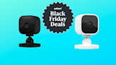 Black Friday deal alert! The Blink Mini indoor security cam is down to just $20