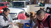 Texas Catholic charity gives away nearly 50,000 pounds of potatoes