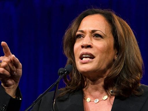 'Kamala Harris Is Pro Business:' Mark Cuban Says Vice President's 'Centre 100%' Policies Differ From Biden's Proposals