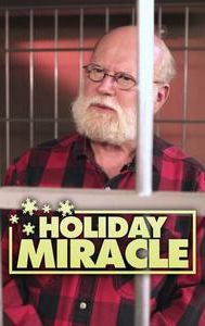 Holiday Miracle