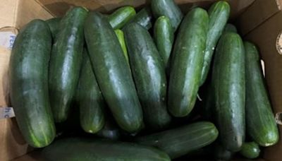 Recalled cucumbers may be linked to nationwide Salmonella outbreak