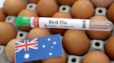 Bird flu spreads to tenth Australian poultry farm