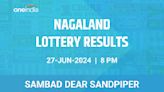 Nagaland Sambad Lottery Dear Sandpiper Thursday Winners June 27, 8 PM - Check Results