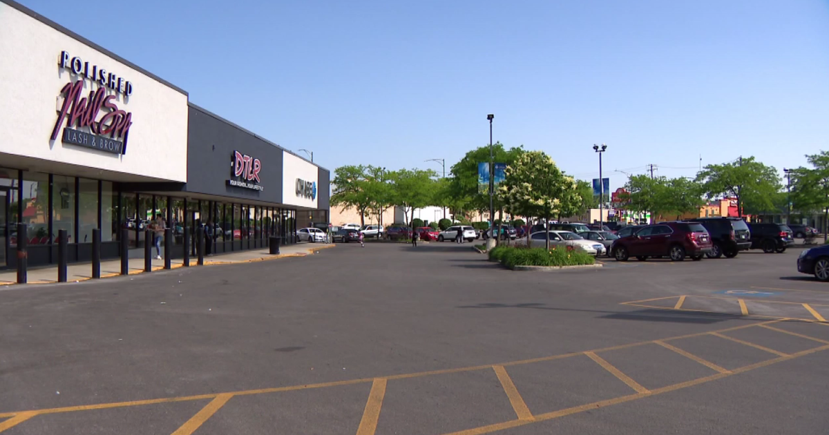 Mother, teenage son arrested in attempted carjacking on Chicago's West Side