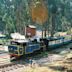 Nilgiri Mountain Railway