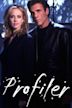 Profiler (TV series)