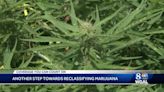 Federal government moves to reclassify marijuana as less dangerous drug