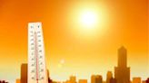 July 22 world's hottest day in 84 years, exceeds previous record set just a day before: European climate agency