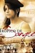 Tropico de Sangre