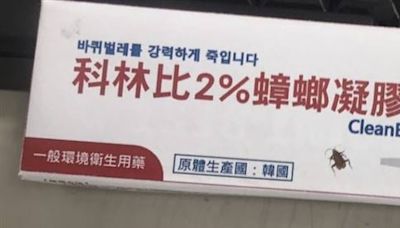 小強多到爬臉上…他用「1神器」團滅蟑螂大軍！連屍體都不剩