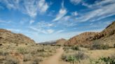 64-Year-Old Woman Dies Hiking Desert Trail in Big Bend National Park, Texas