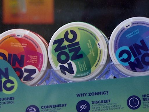 Don't push the pouch: Convenience stores want N.L. to fight feds on proposed nicotine pouch rules