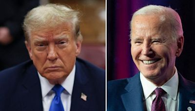 'Ridiculous and Gross': Donald Trump Nicknamed 'Hitler Pig' by President Joe Biden's Younger Staffers: Report