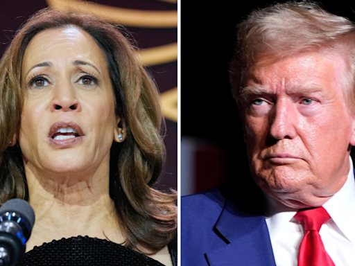 Harris leads Trump in Pennsylvania, Michigan, with tighter race in Wisconsin: Poll