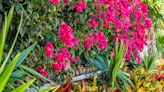 Expert Tips For Successful Gardening In Florida's USDA Planting Zones