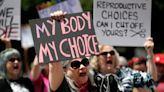 Iowa Supreme Court should permit enforcement of six-week abortion ban, state argues
