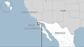 Surfers killed in likely carjacking, says Mexico