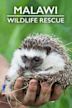 Malawi Wildlife Rescue