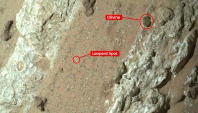 Weird Rock on Mars May Actually Show Signs of Ancient Life