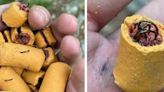 Hiker finds dog treats stuffed with fish hooks
