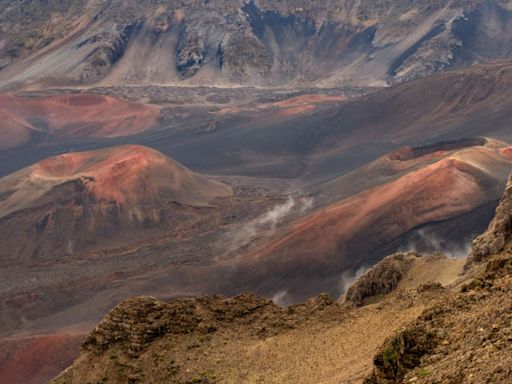 Maui brush fire raises concerns on island hit hard by deadly 2023 wildfires