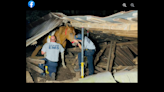 Barn collapses in Tennessee, trapping horse inside. See the dangerous rescue