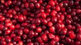 Ethical Naturals hails bumper harvest for Oregon cranberries