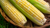 《農產品》CBOT黃豆走跌 天氣買盤帶動小麥續漲