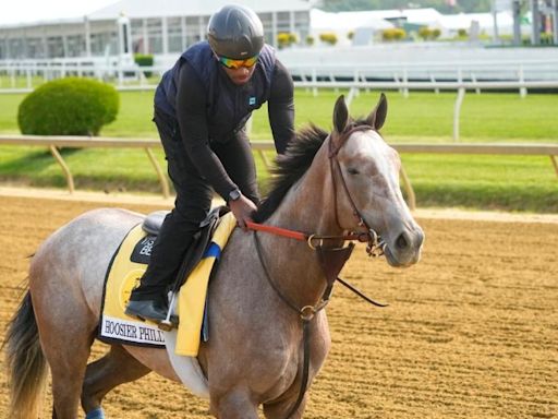 Belmont Stakes 2024 predictions, picks, current odds, horses, time: Best bets from expert who nailed the Derby